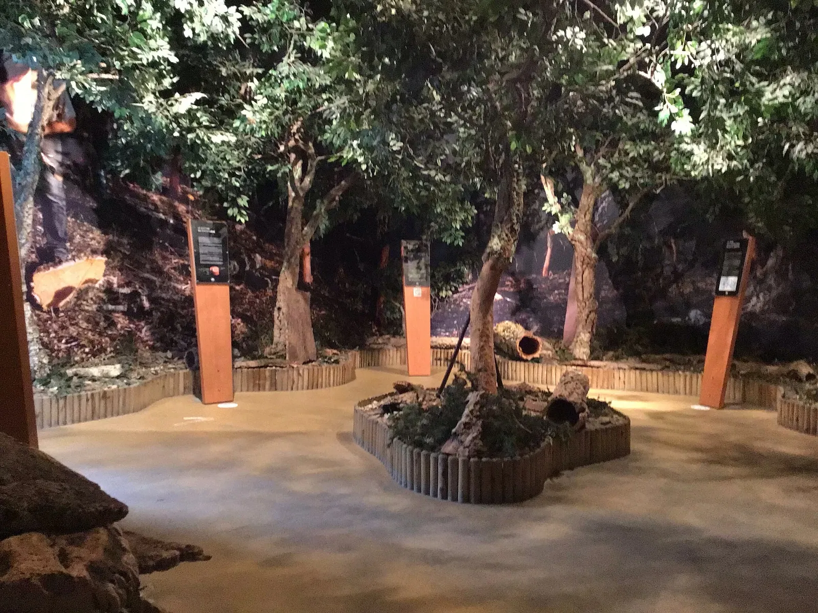 Musée du Liège et du Bouchon