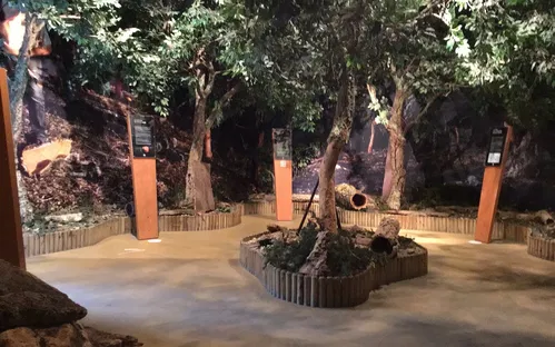 Musée du Liège et du Bouchon