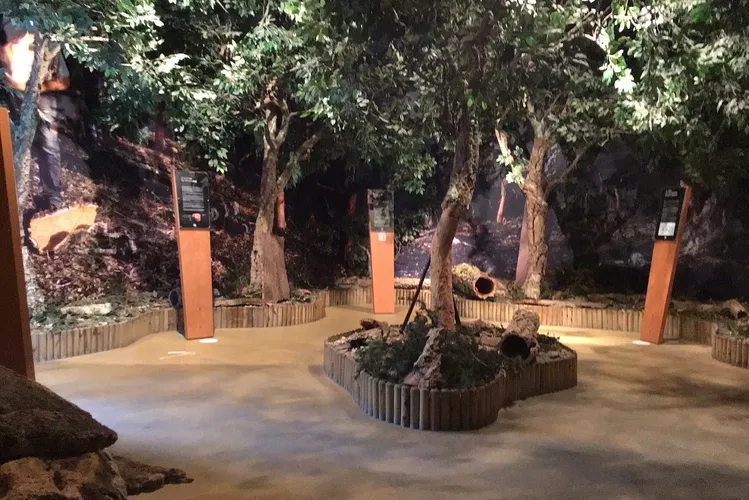 Musée du Liège et du Bouchon