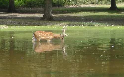 Haute Touche Zoological Park