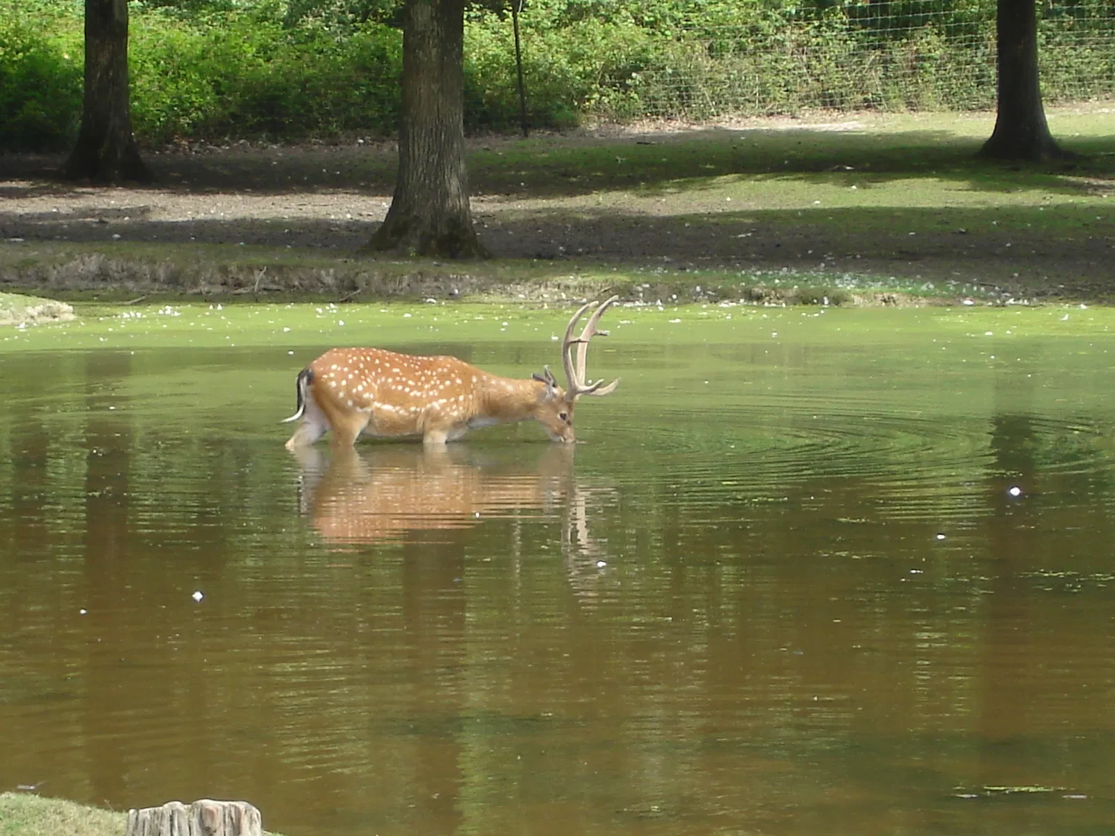 Réserve Zoologique de la Haute-Touche