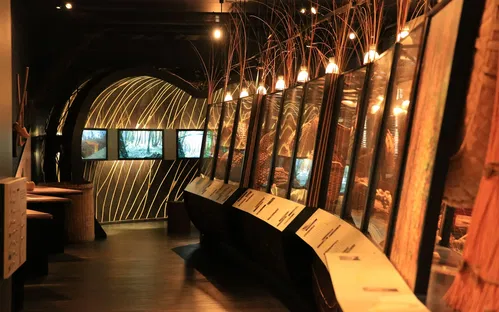 Musée de l'Osier et de la Vannerie