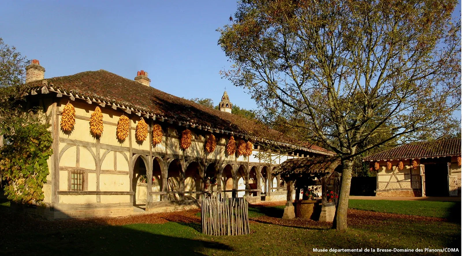 Prefectural Museum of Bresse-Domain Planon