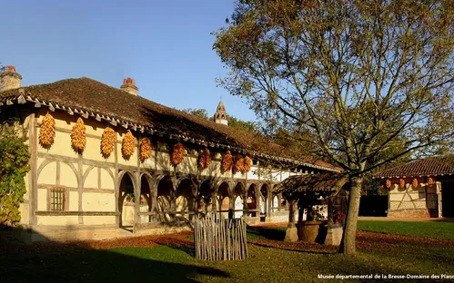 Prefectural Museum of Bresse-Domain Planon