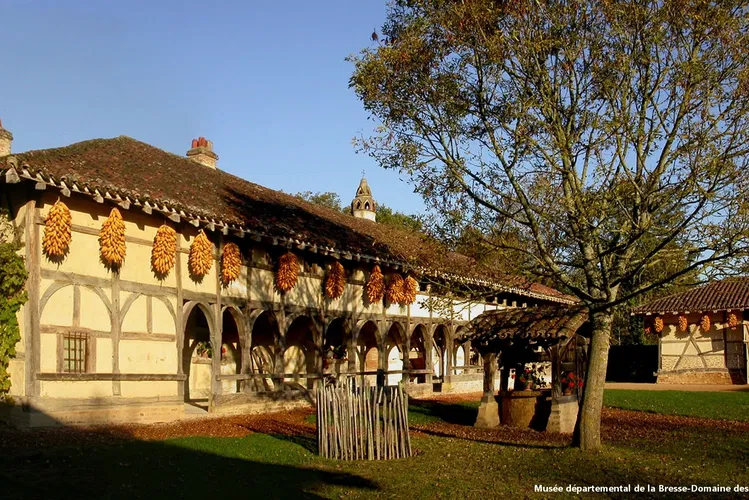 Prefectural Museum of Bresse-Domain Planon