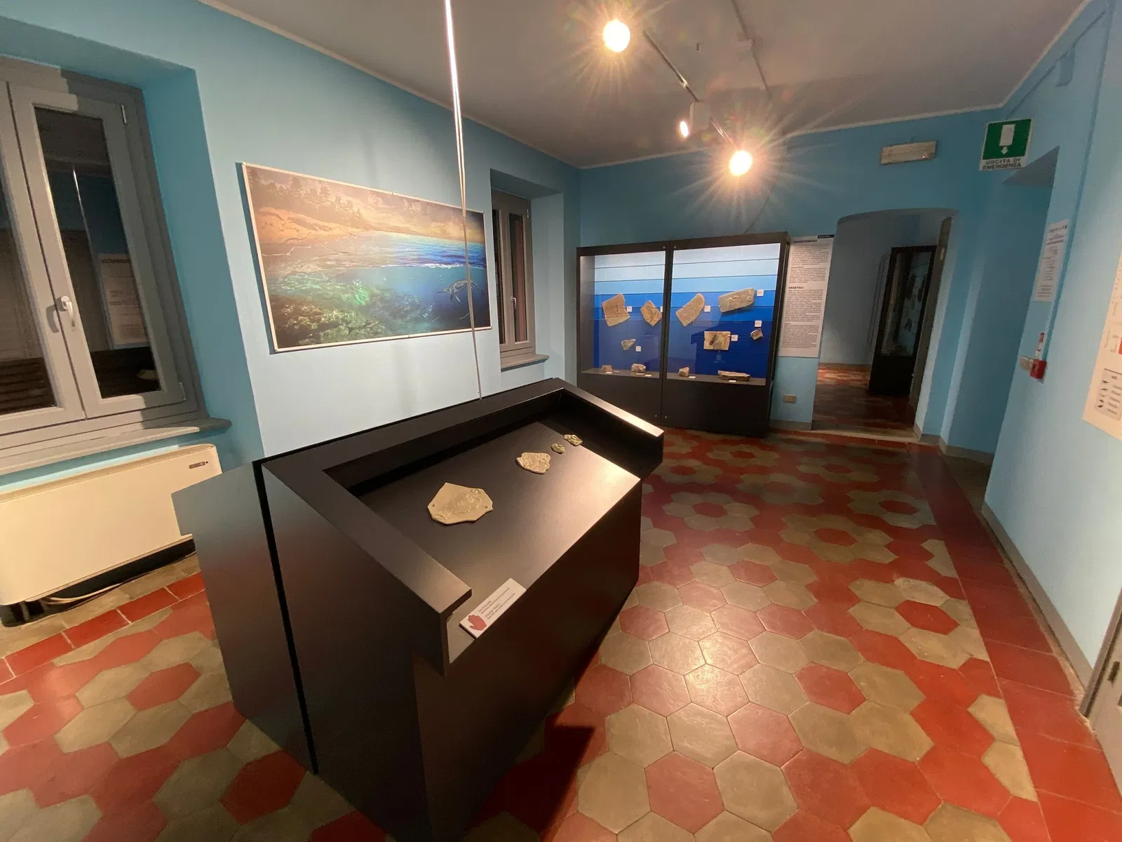 Civic Museum of Fossils of Besano