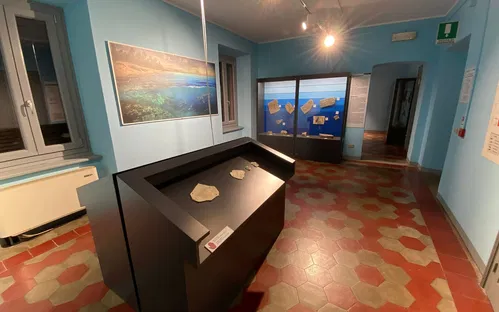 Civic Museum of Fossils of Besano