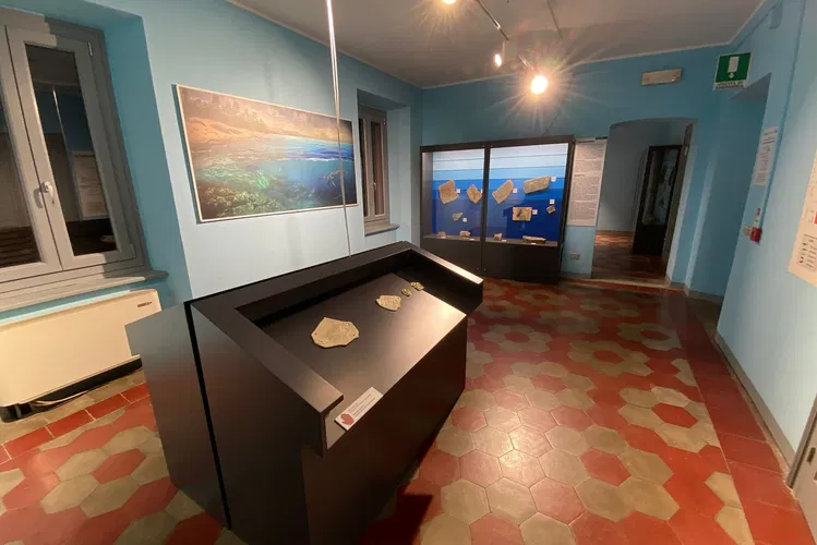 Museo Civico dei Fossili di Besano