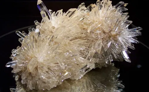 Musée des Minéraux et de la Faune des Alpes