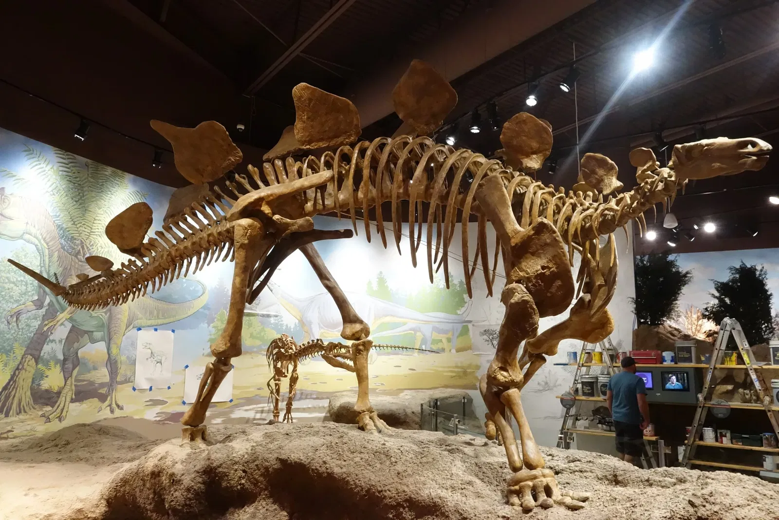 Utah Field House of Natural History State Park Museum