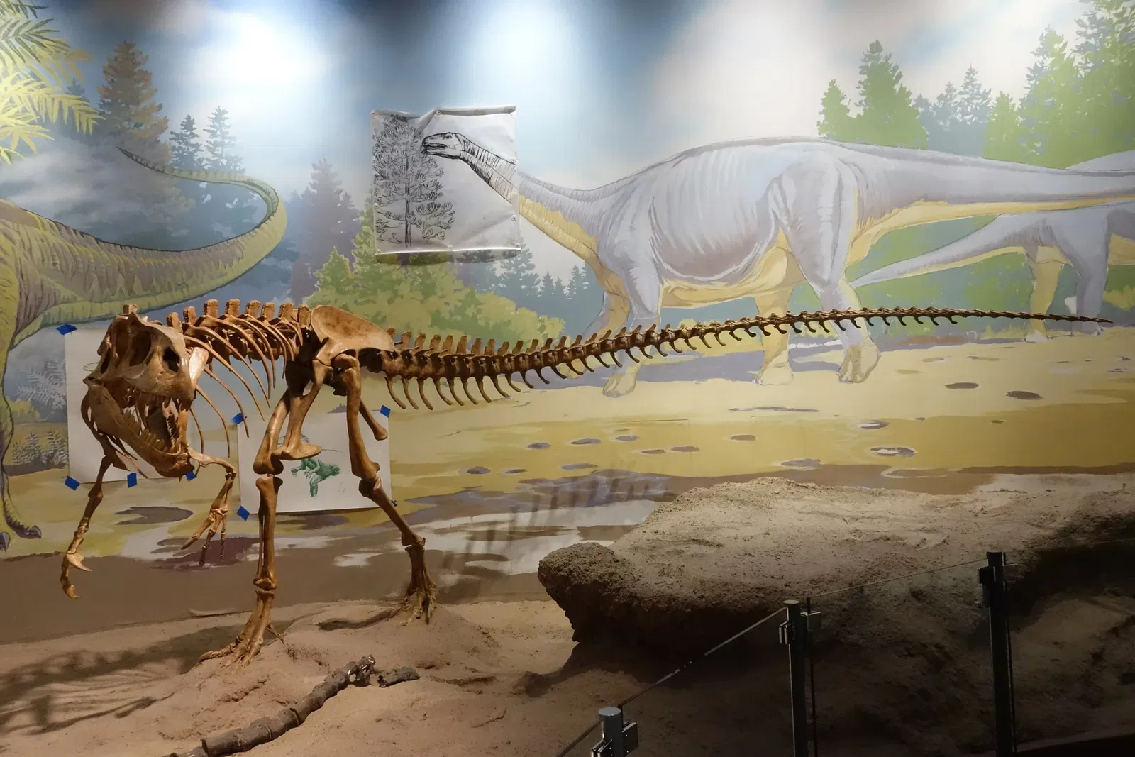 Utah Field House of Natural History State Park Museum