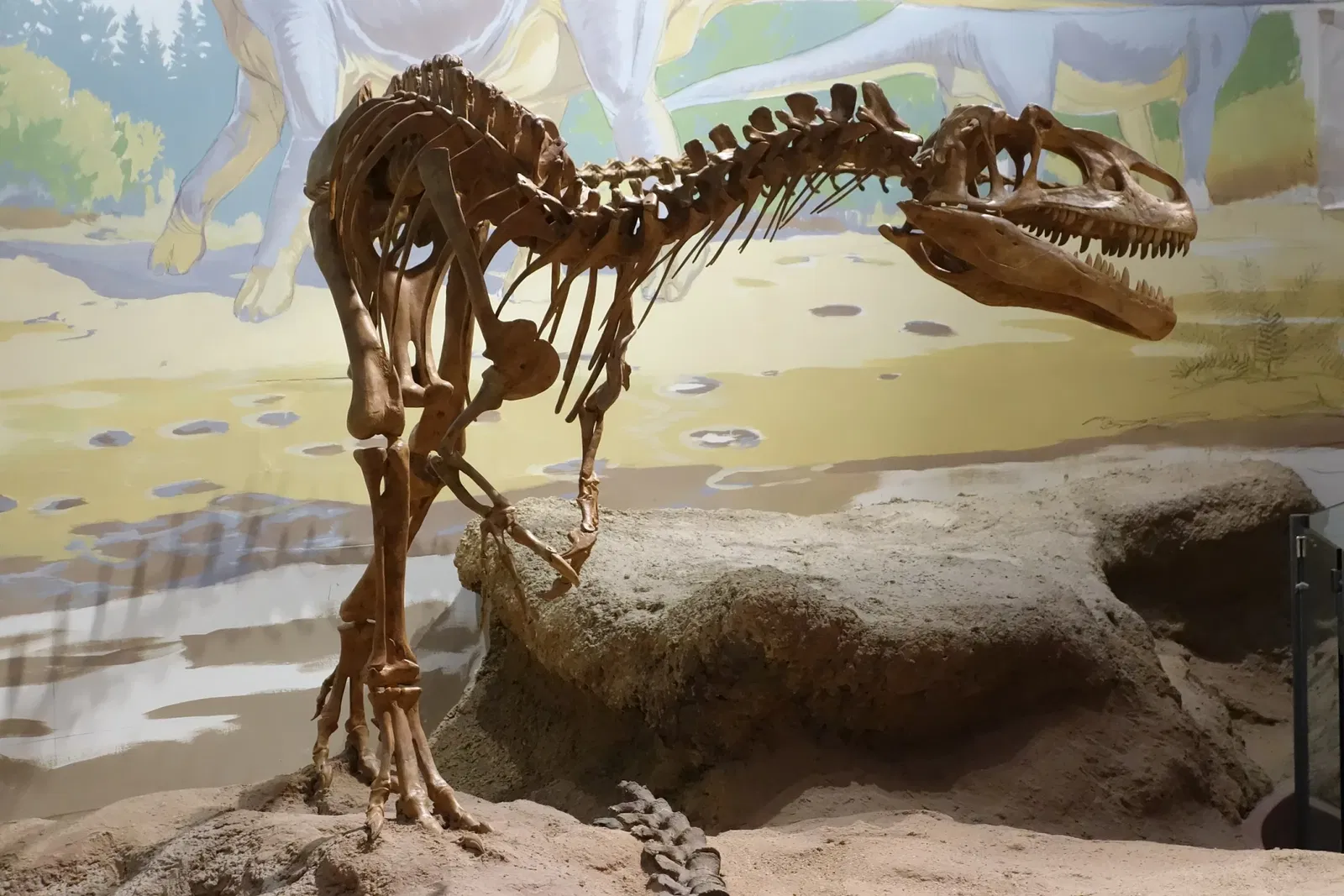 Utah Field House of Natural History State Park Museum