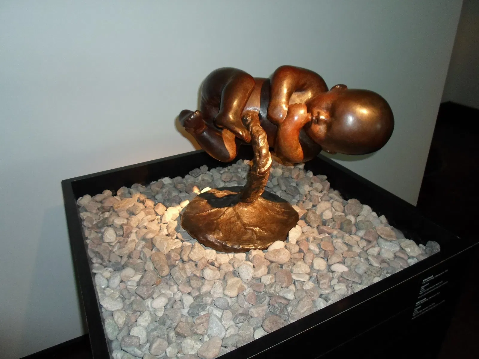 Montreal Museum of Fine Arts