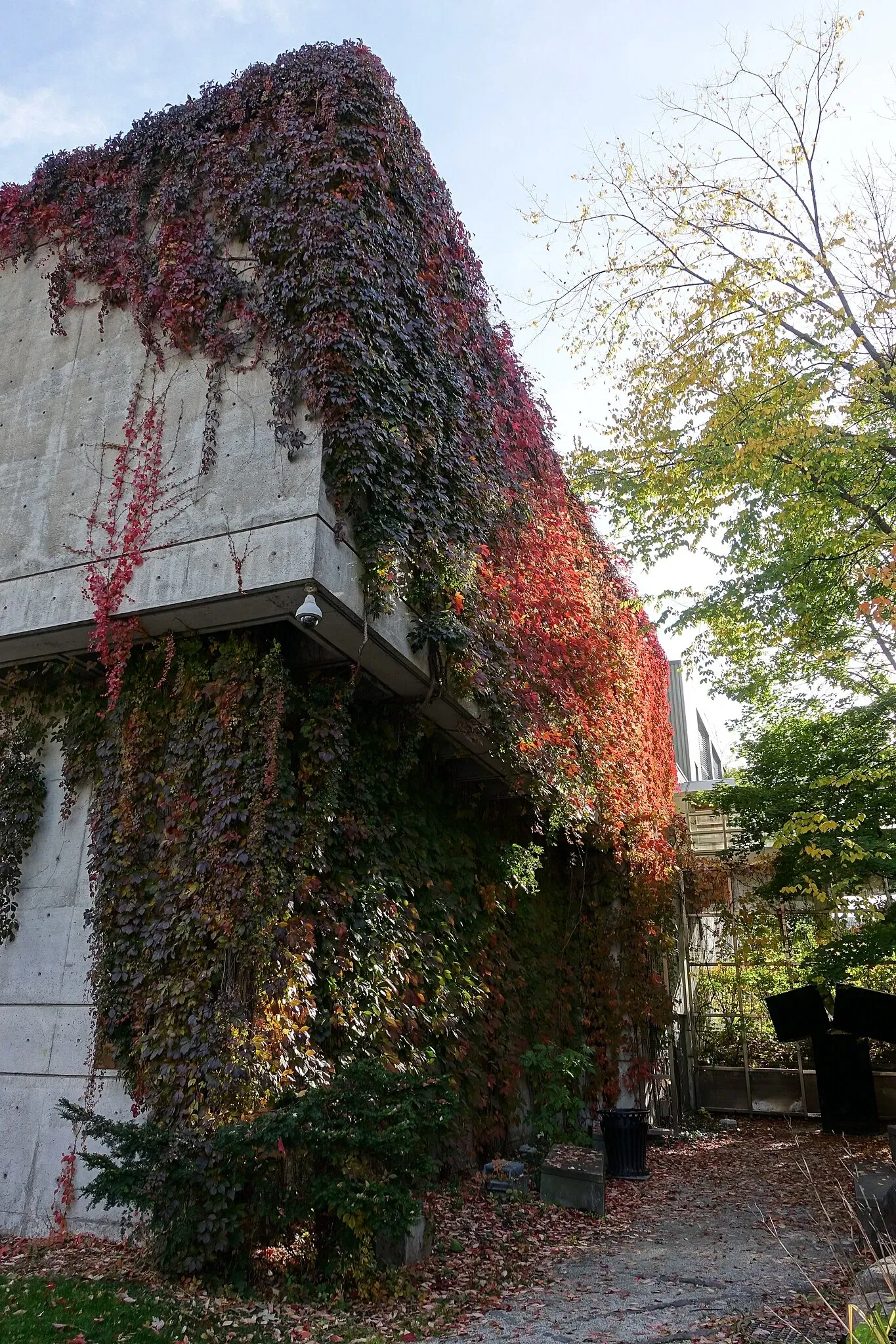 Montreal Museum of Fine Arts