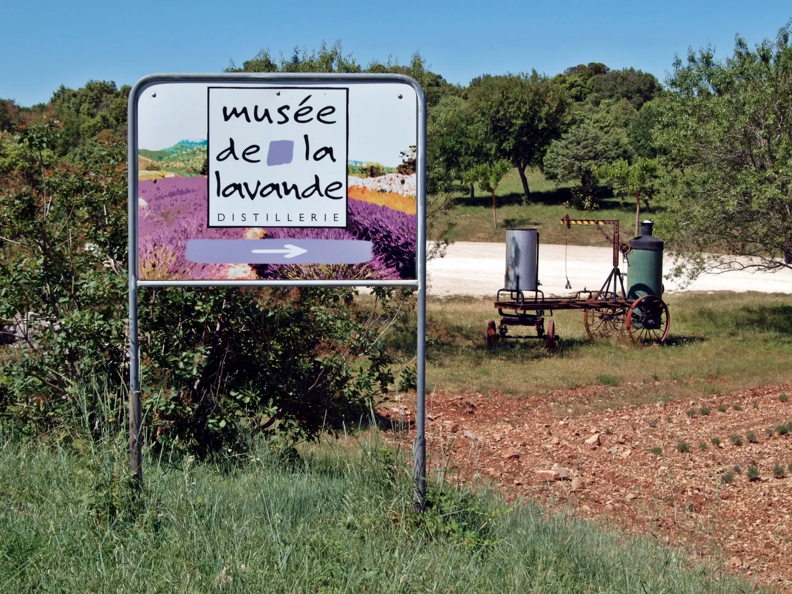 Musée de la Lavande