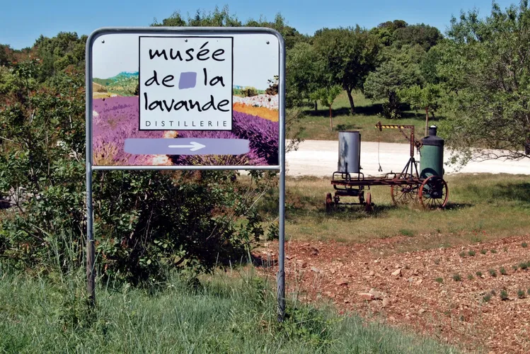 Musée de la Lavande