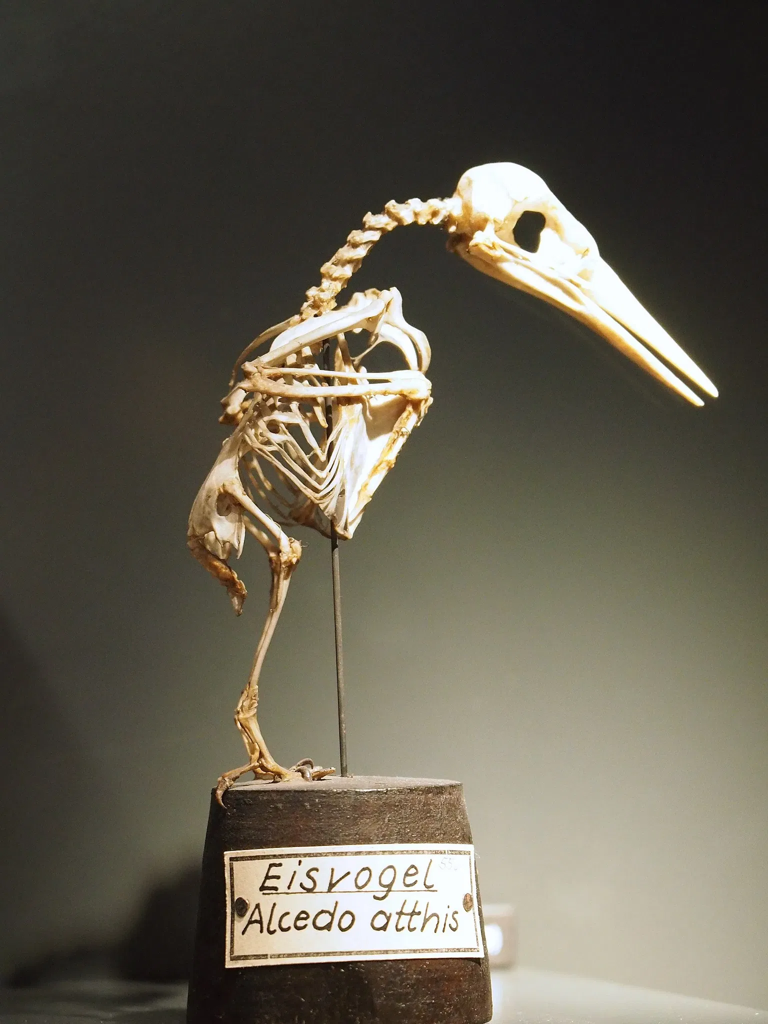 Goethe-Nationalmuseum