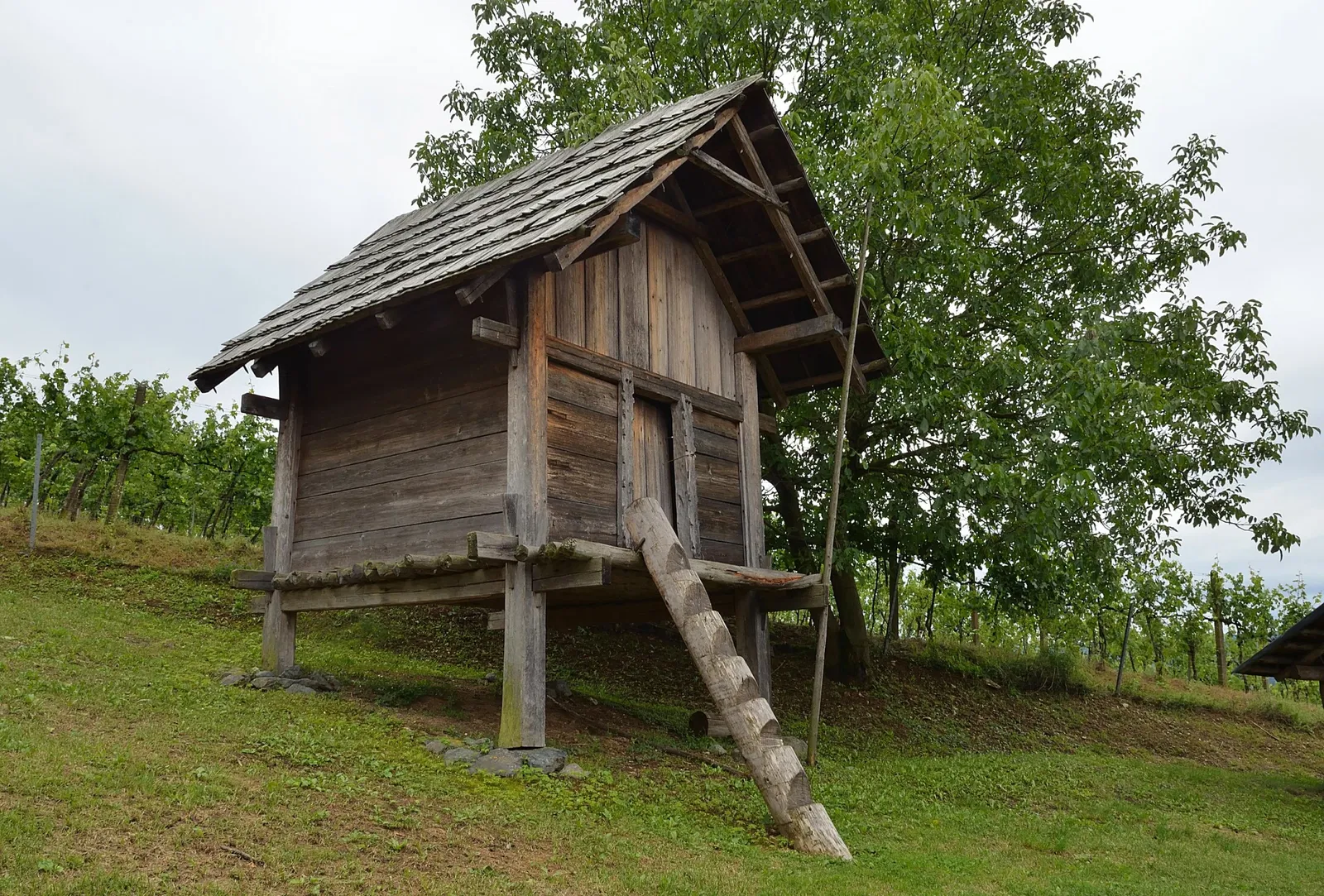 Hallstattzeitliches Museum Großklein