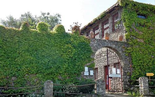 Museo Archeologico Nazionale ed Area Archeologica di Cosa