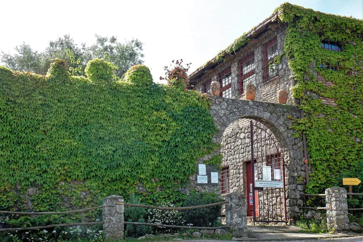 Museo Archeologico Nazionale ed Area Archeologica di Cosa