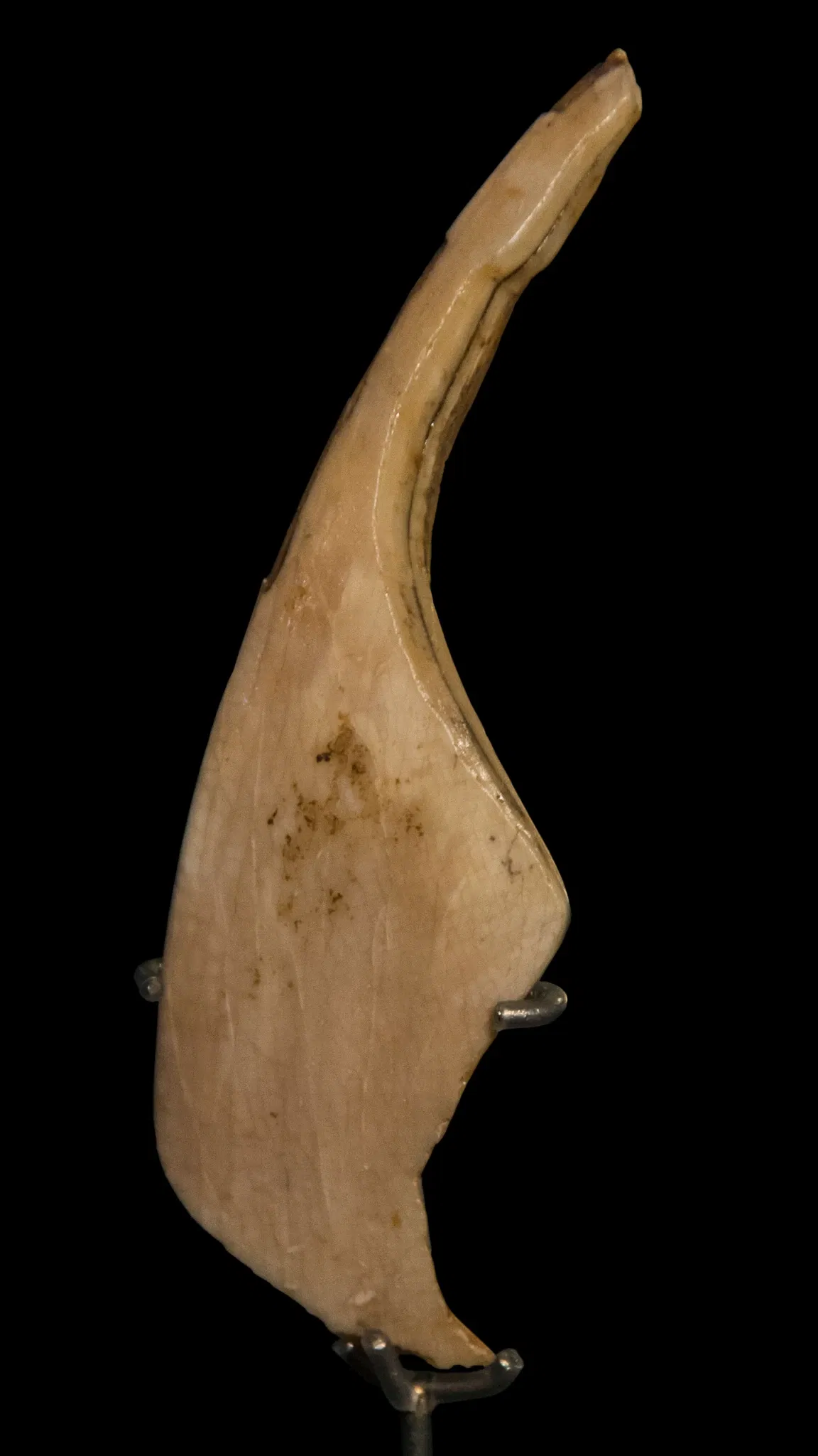 Urgeschichtliches Museum