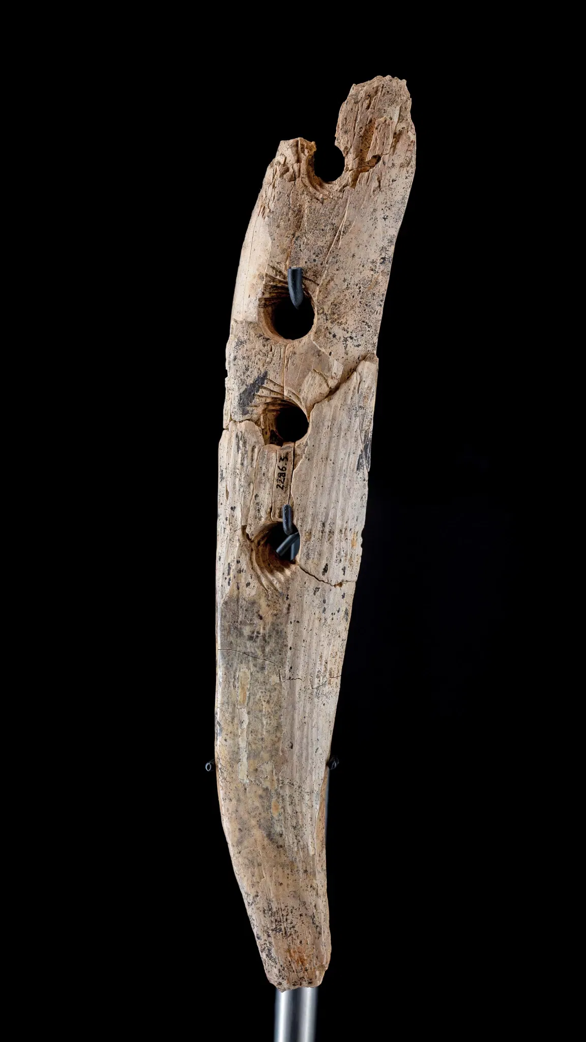 Urgeschichtliches Museum