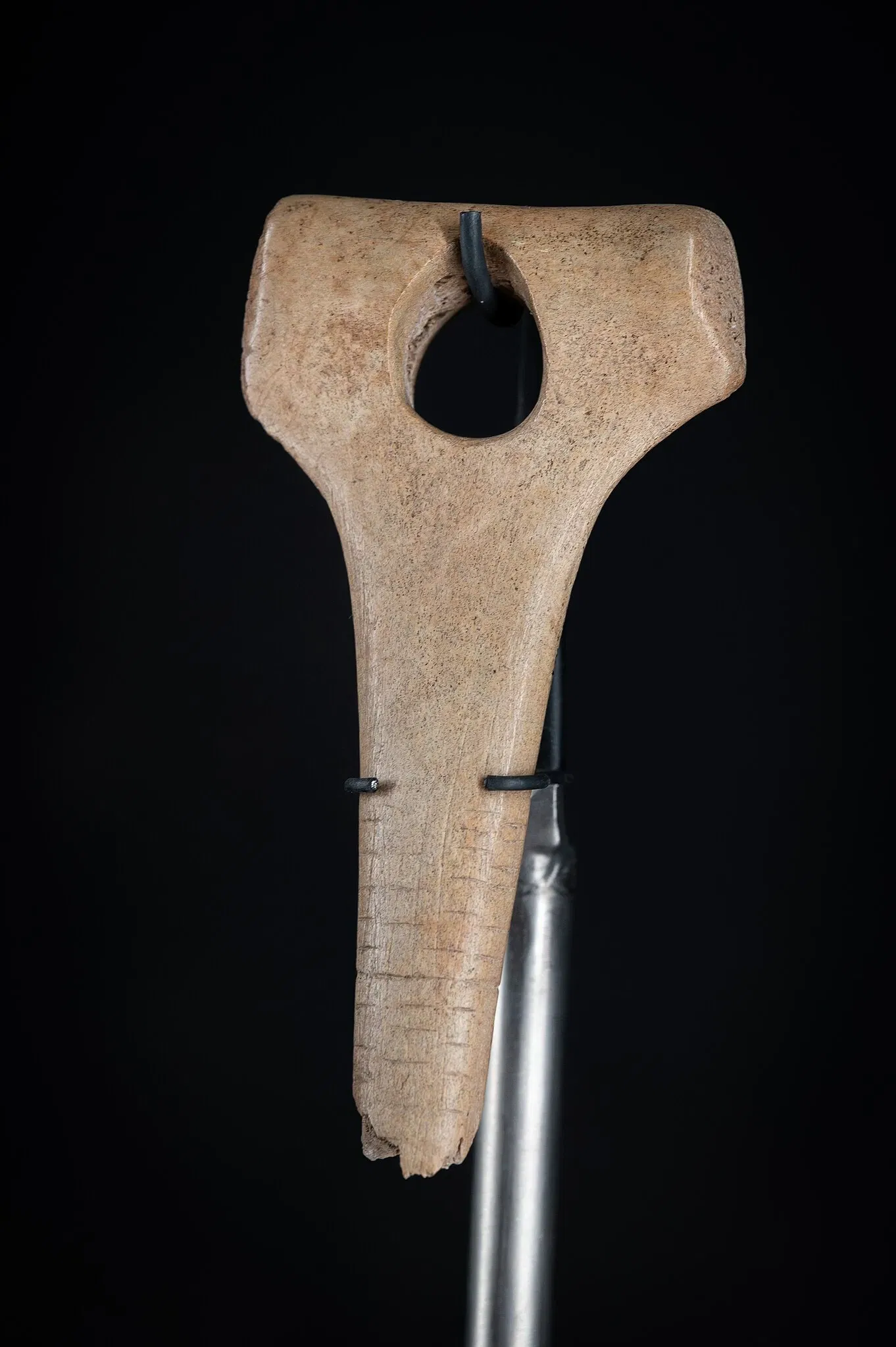 Urgeschichtliches Museum