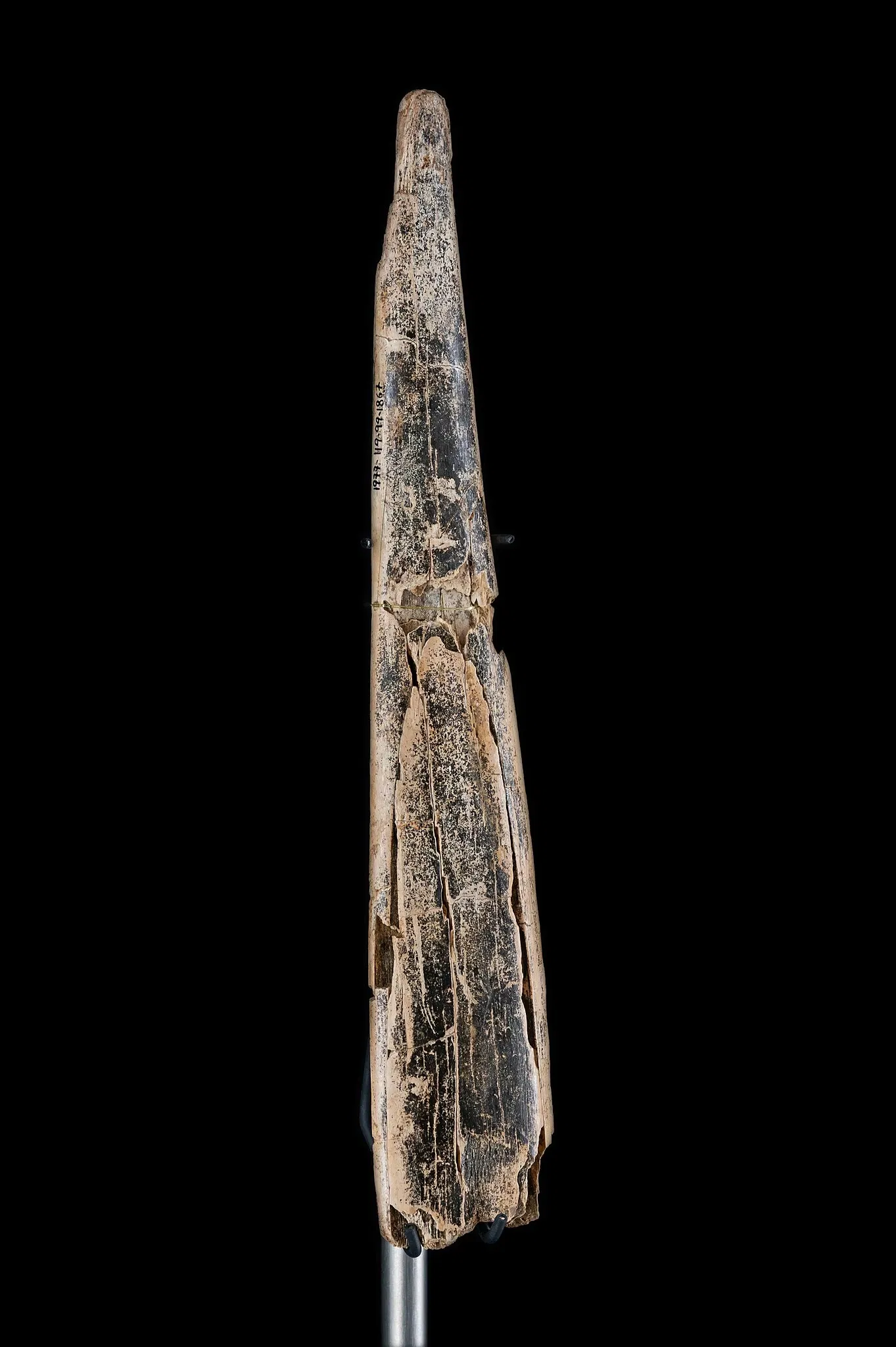 Urgeschichtliches Museum