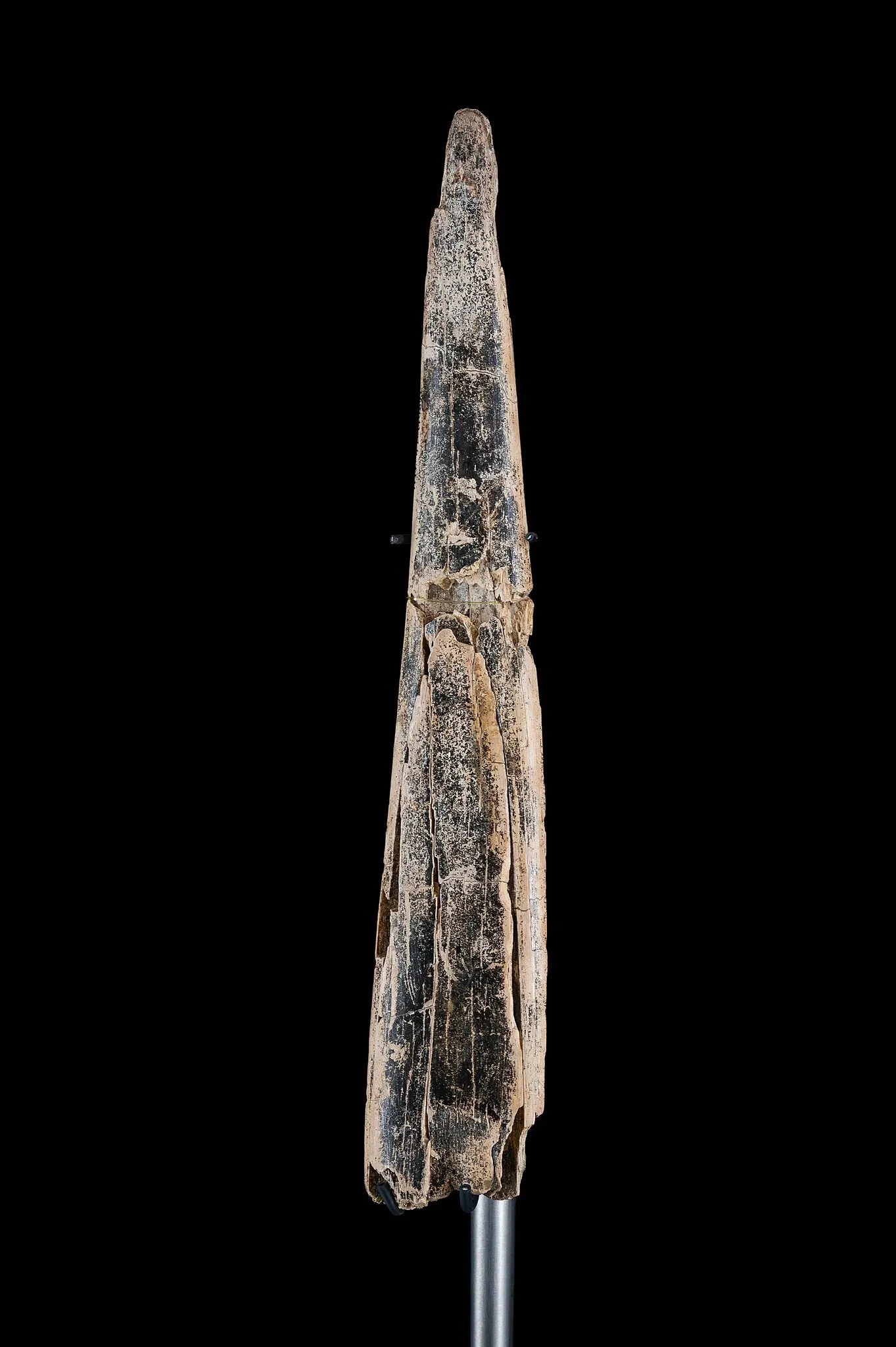 Urgeschichtliches Museum