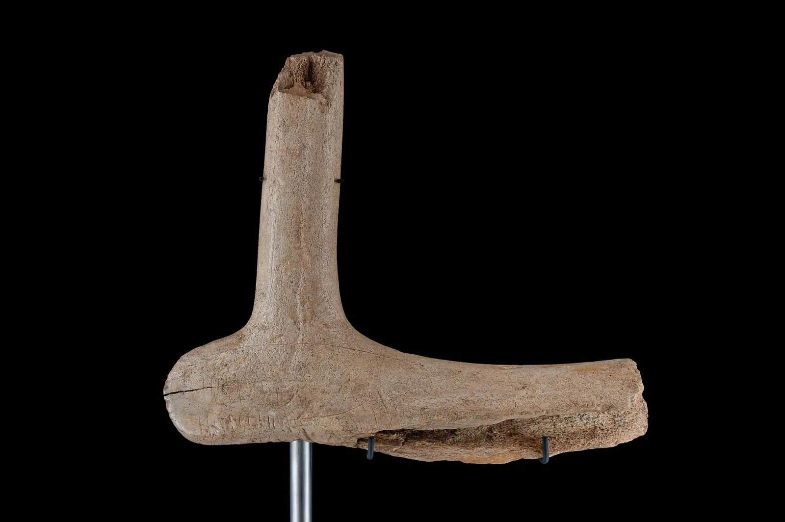 Urgeschichtliches Museum