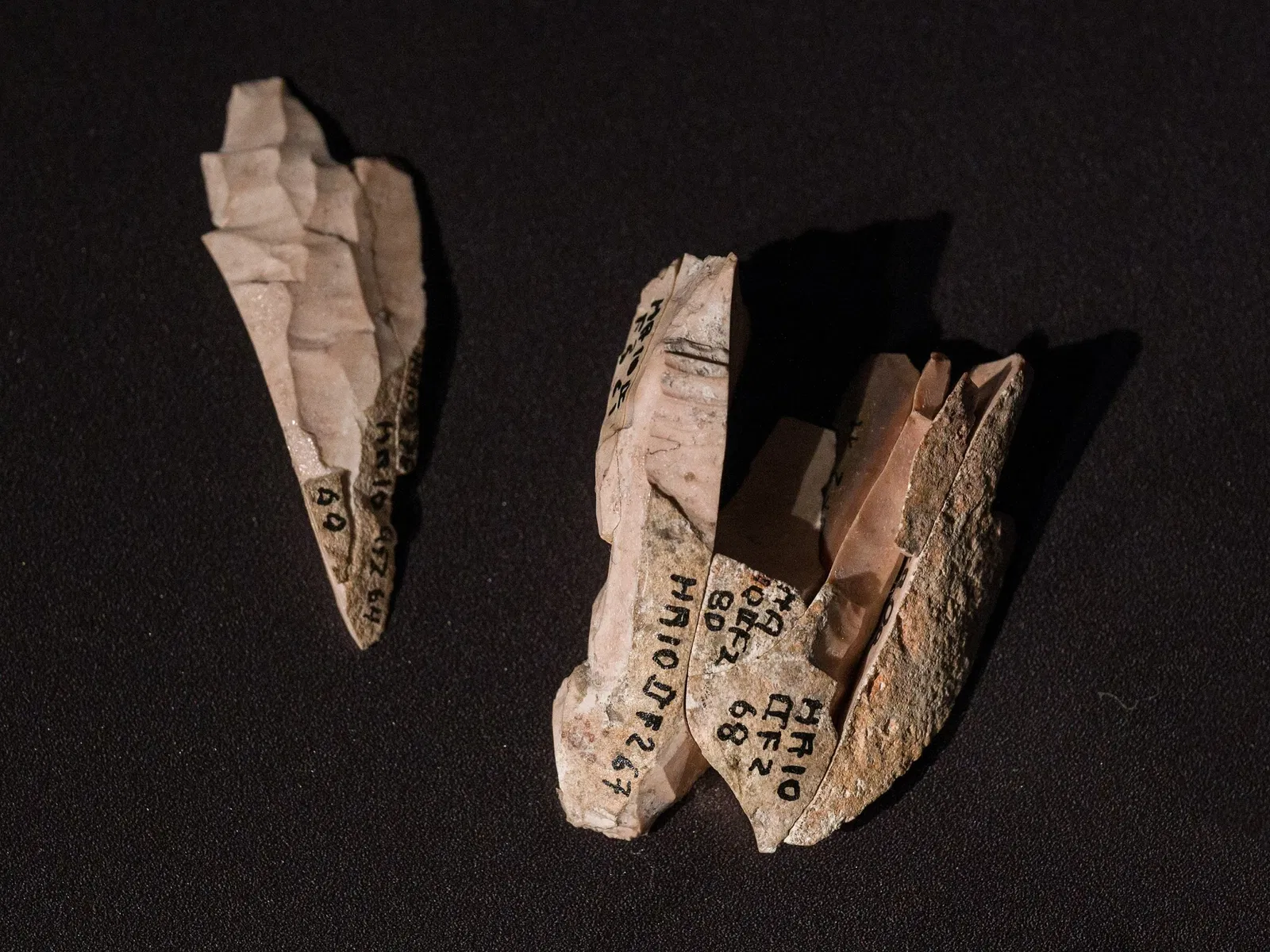 Musée de Préhistoire de Blaubeuren