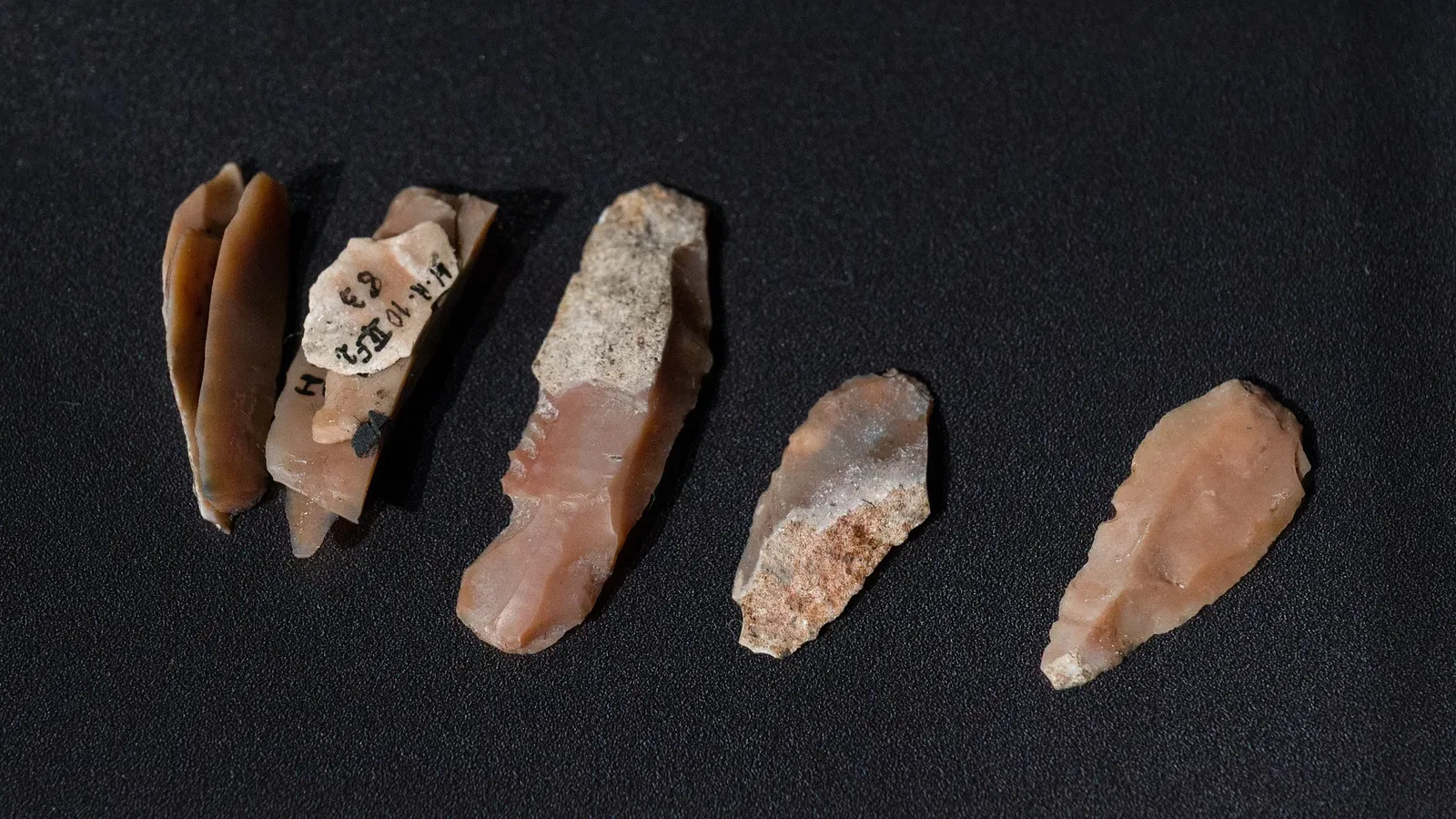 Urgeschichtliches Museum