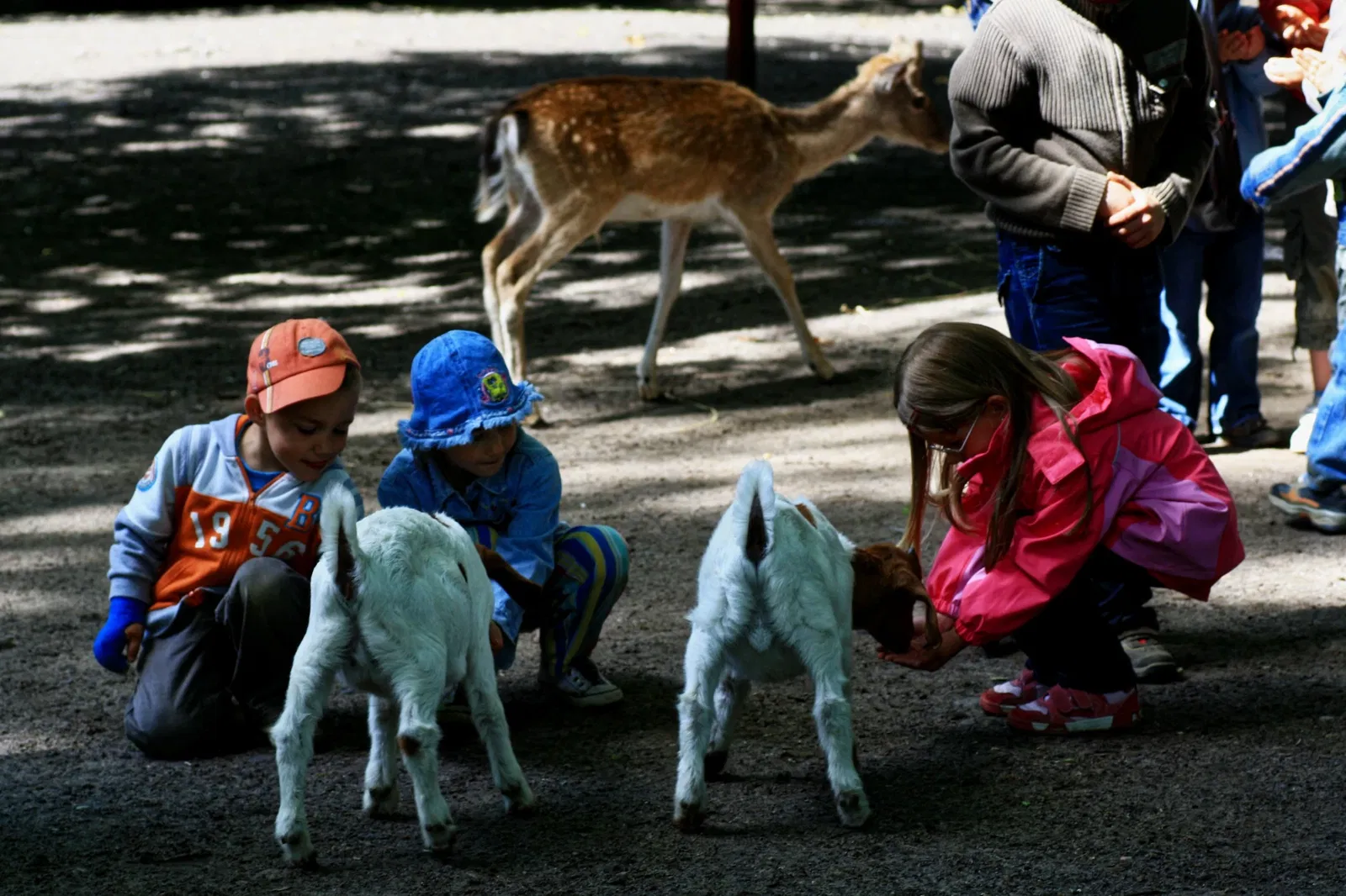 Tierpark Angermünde