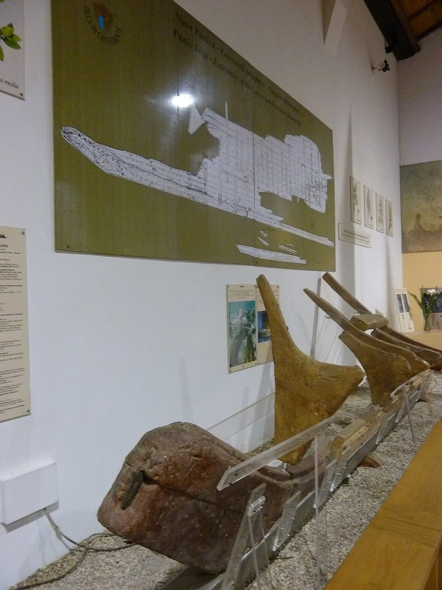 Museo Archeologico Baglio Anselmi