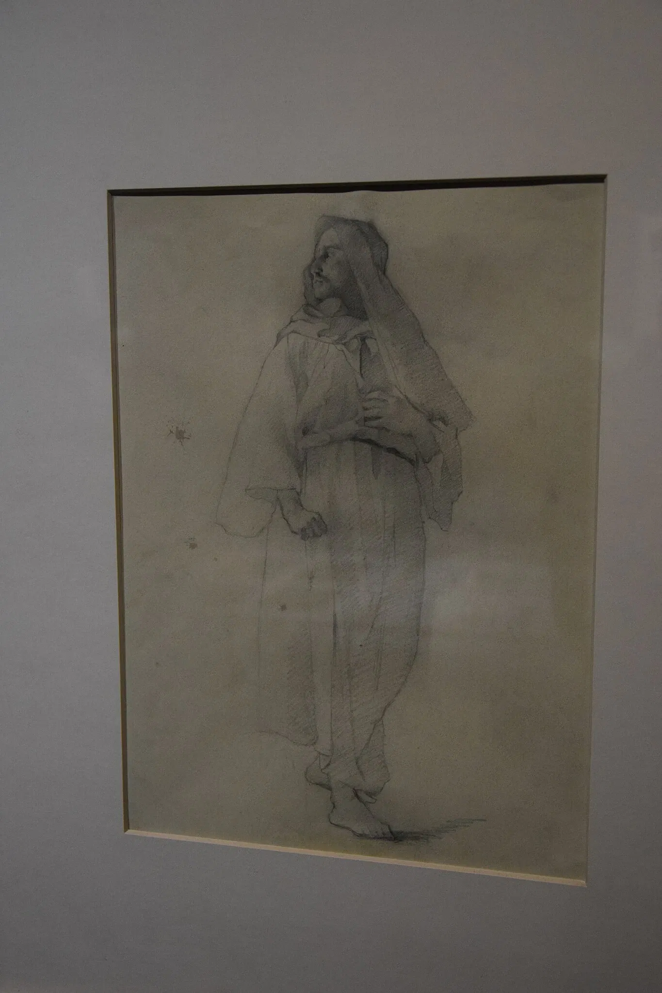 Museum of Fine Arts and Lace