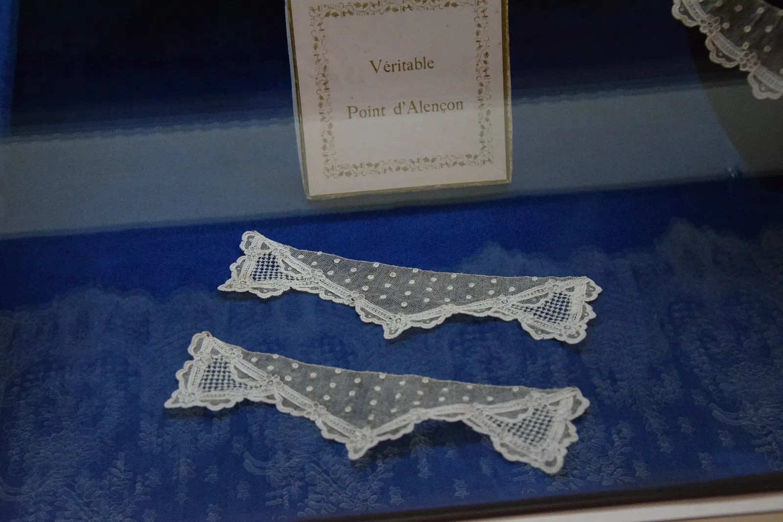 Museum of Fine Arts and Lace