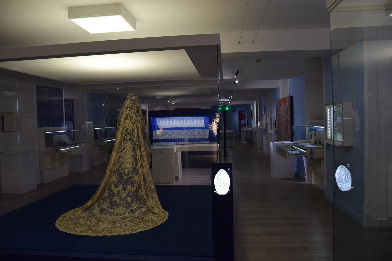 Museum of Fine Arts and Lace