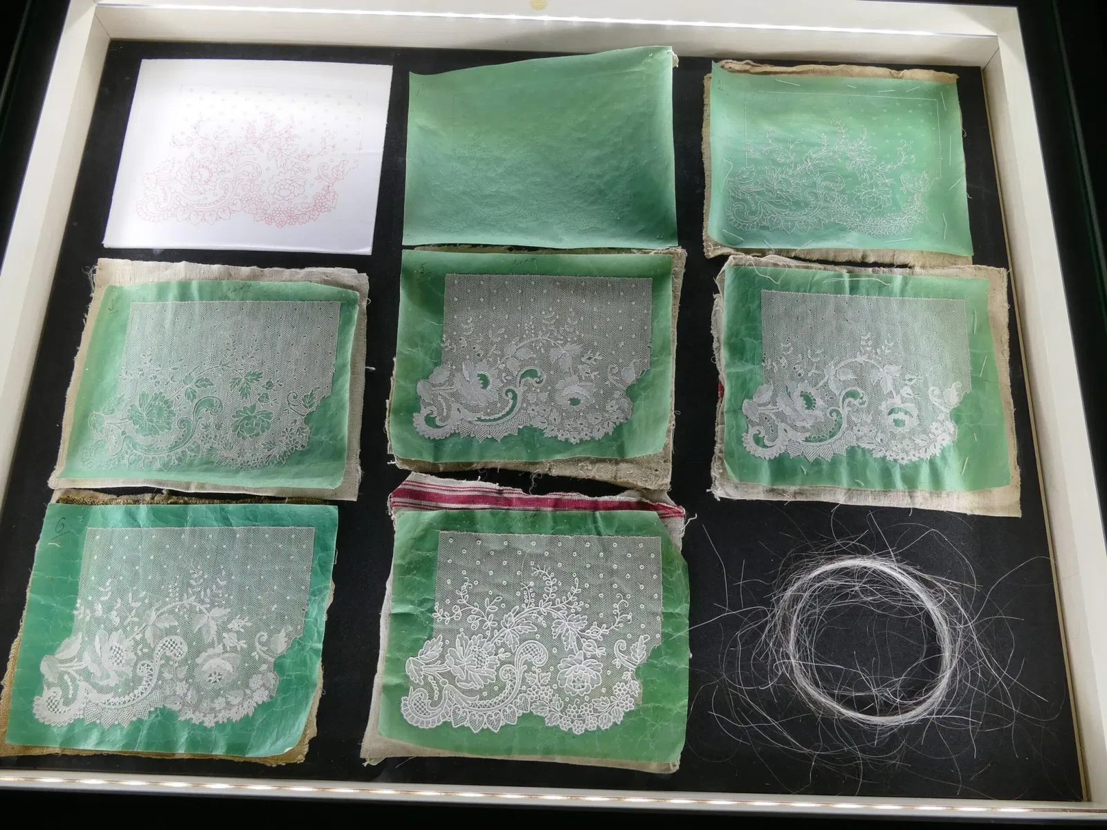 Museum of Fine Arts and Lace