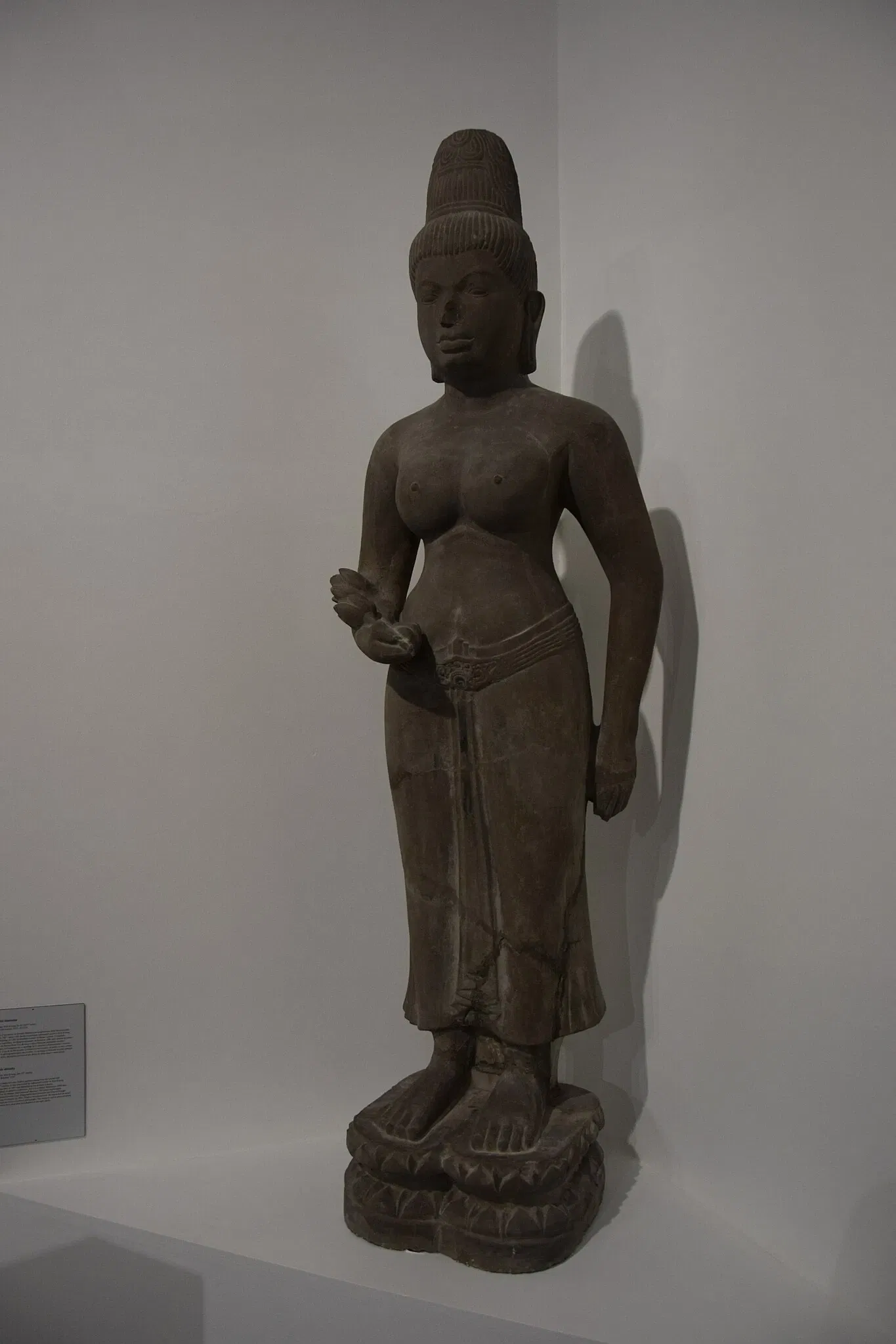 Musée des Beaux-Arts et de la Dentelle