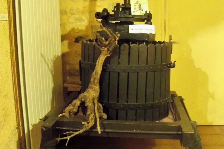 Maison de la Truffe et du Tricastin