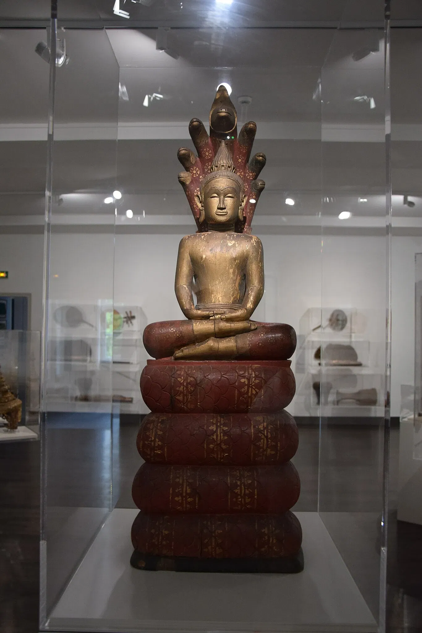 Museum of Fine Arts and Lace