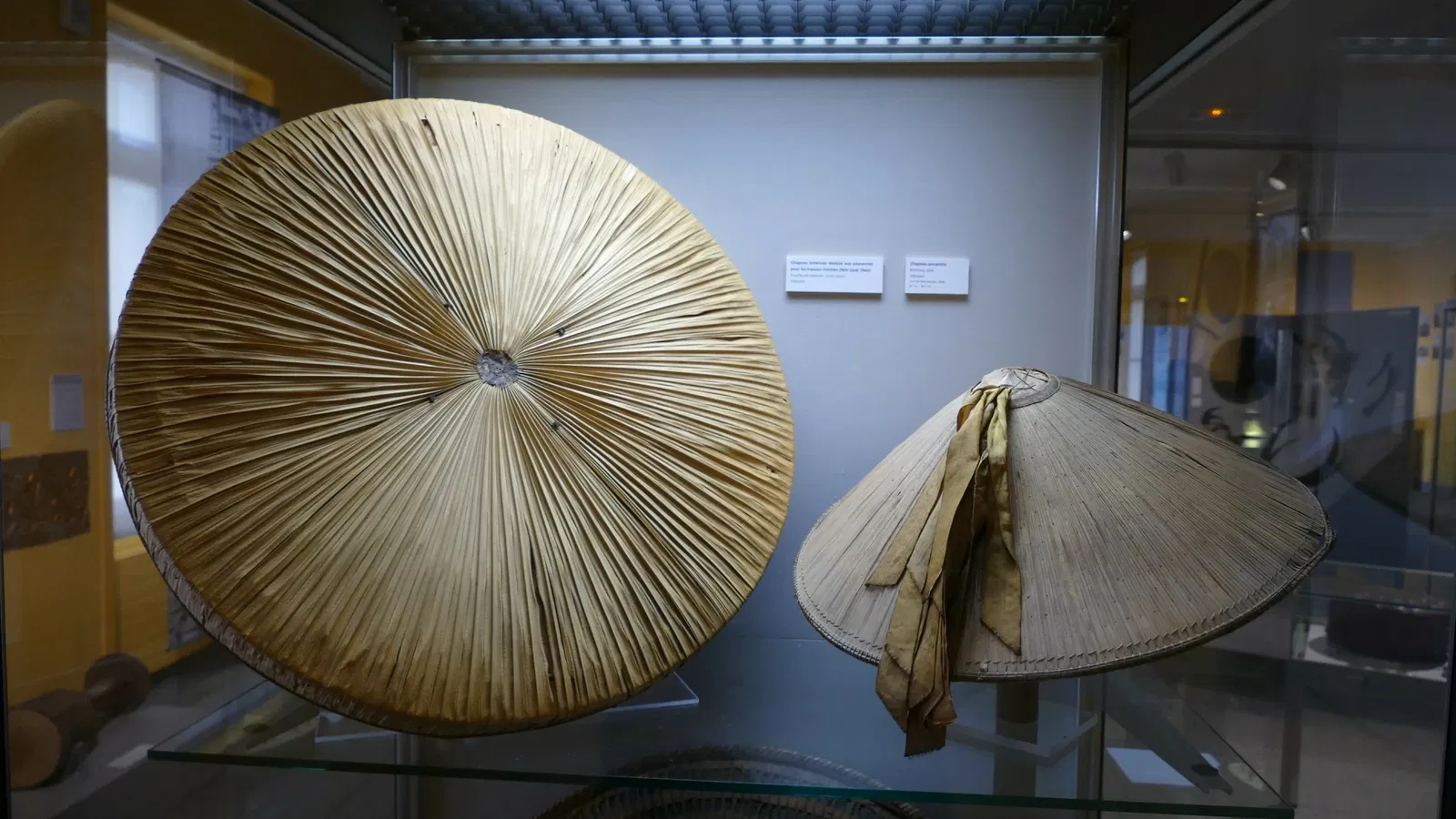 Musée des Beaux-Arts et de la Dentelle