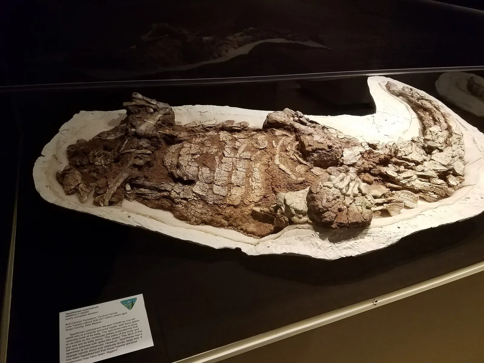 New Mexico Museum of Natural History & Science