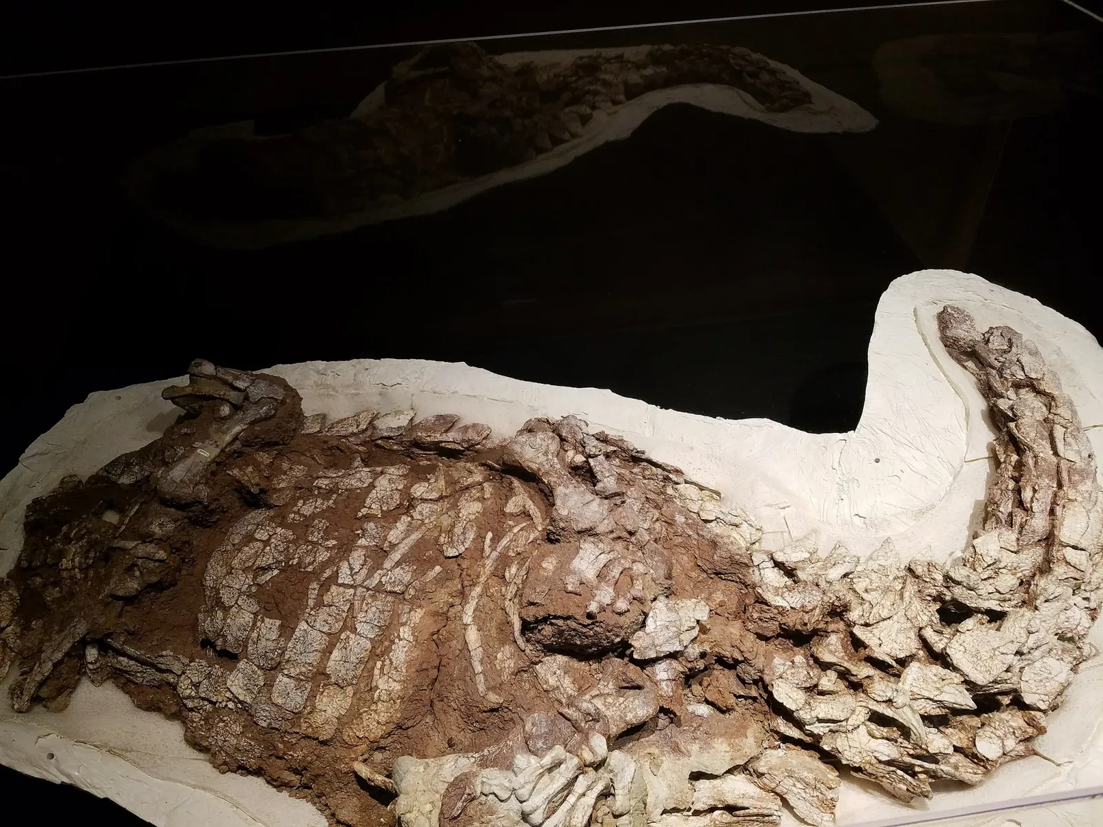 New Mexico Museum of Natural History & Science