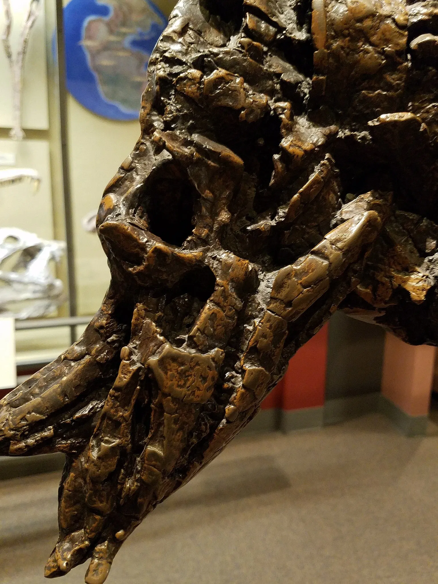 Musée d'histoire naturelle et des sciences du Nouveau-Mexique