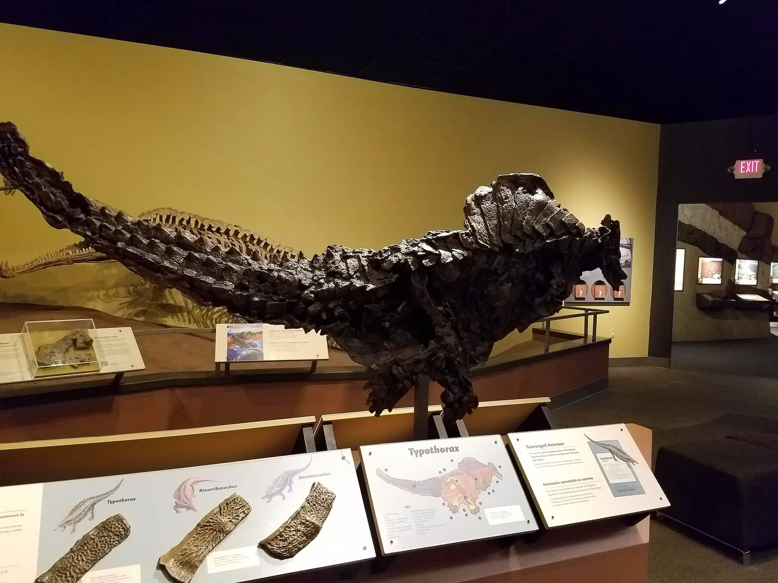 New Mexico Museum of Natural History & Science