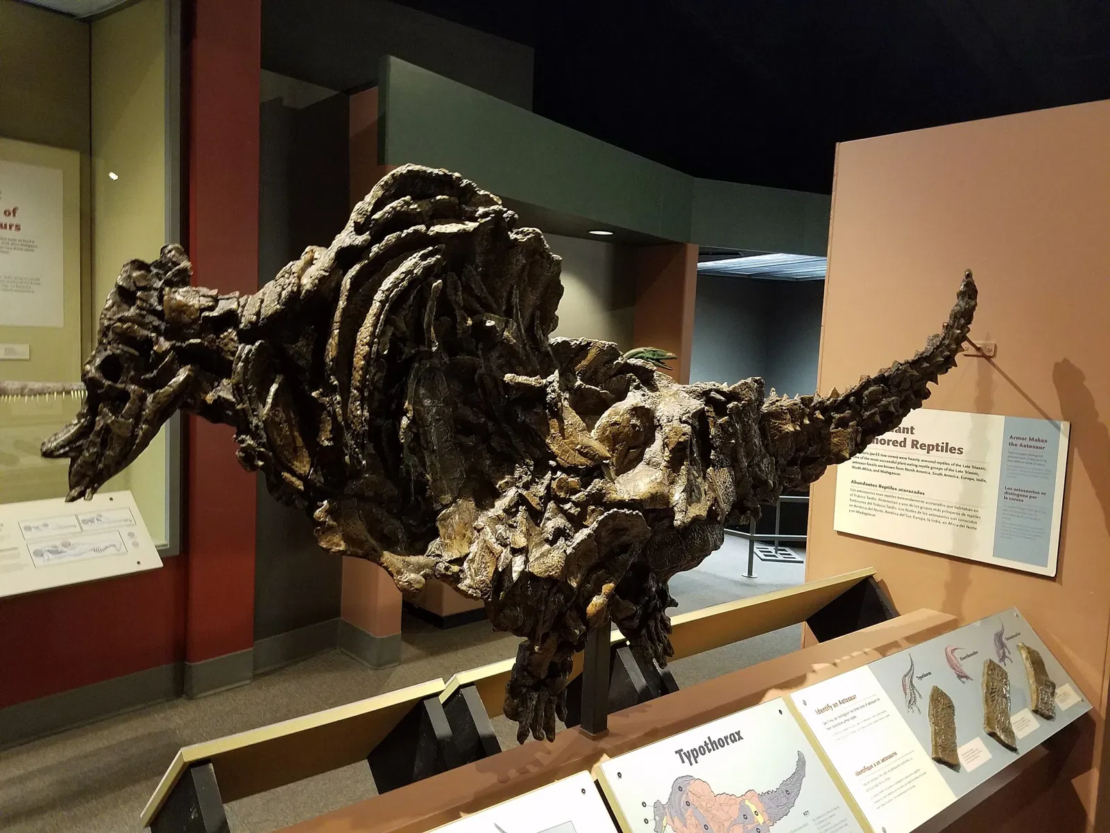 New Mexico Museum of Natural History & Science