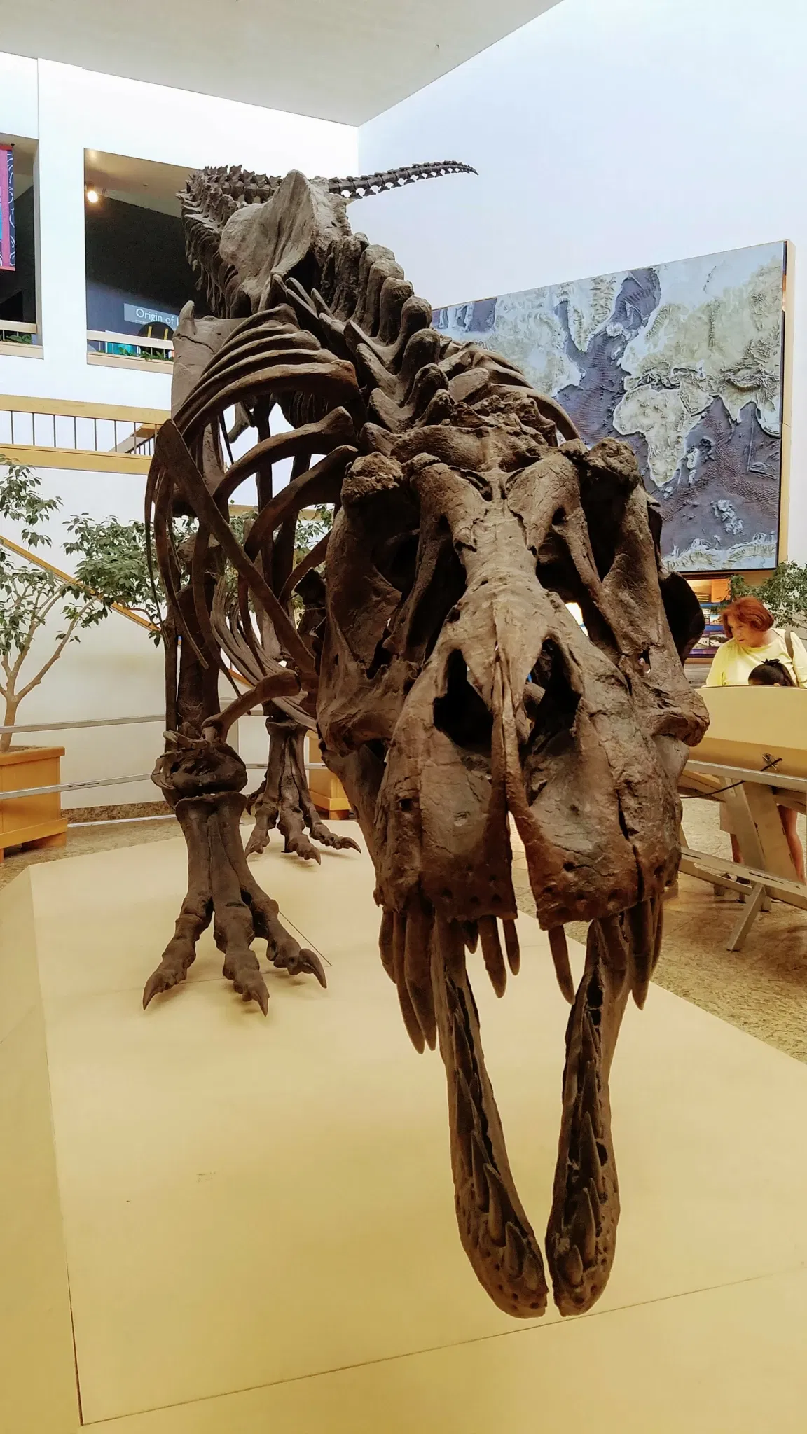 New Mexico Museum of Natural History & Science