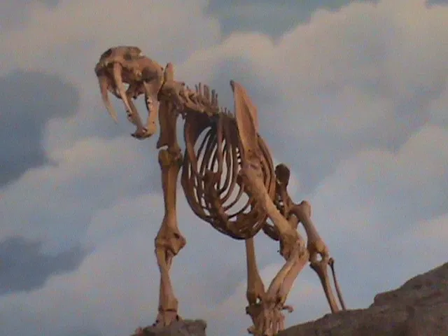 Musée d'histoire naturelle et des sciences du Nouveau-Mexique