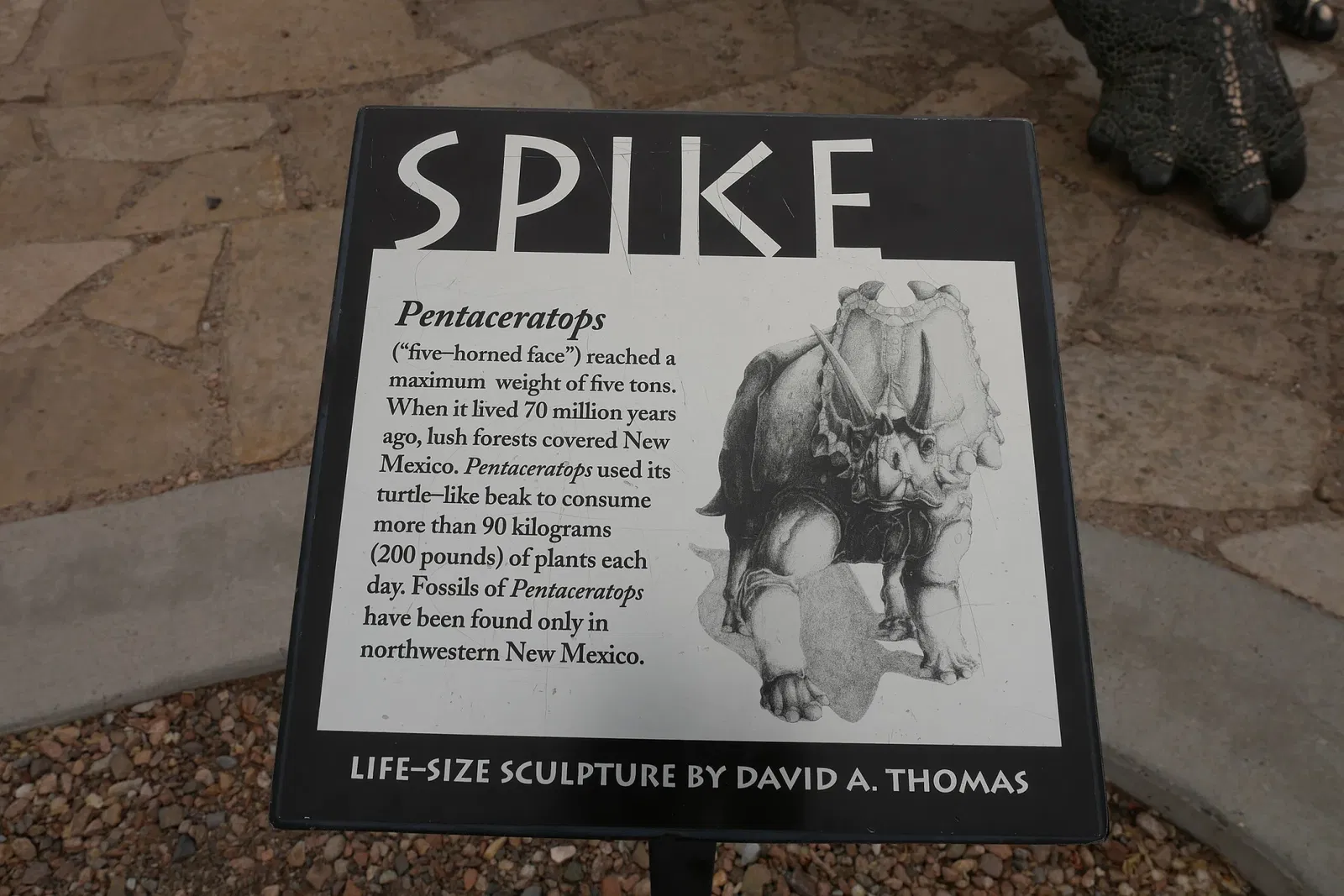 New Mexico Museum of Natural History & Science